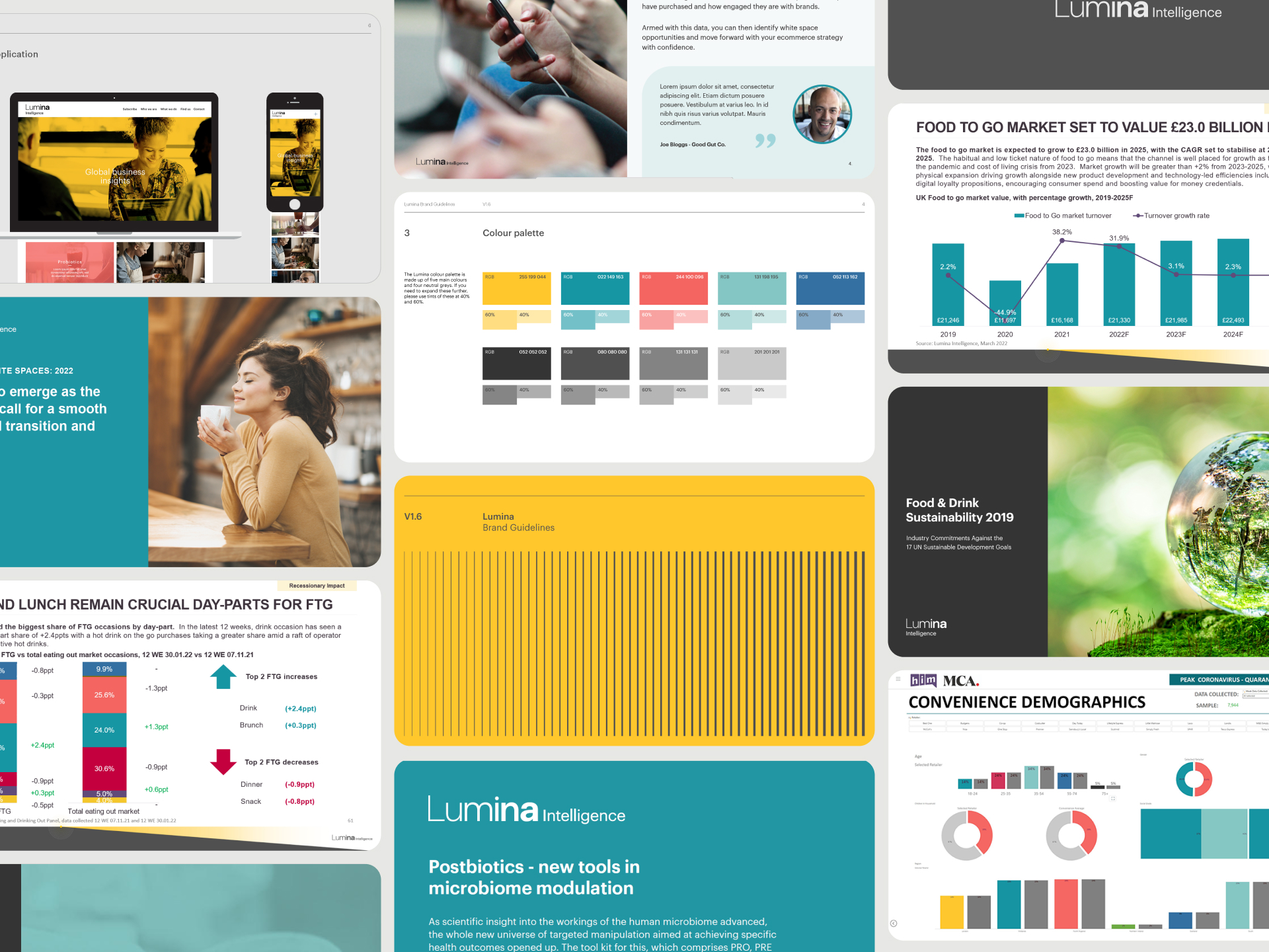 A grid of presentation slides featuring the old Lumina branding, containing colours, graphs, page layouts and logos