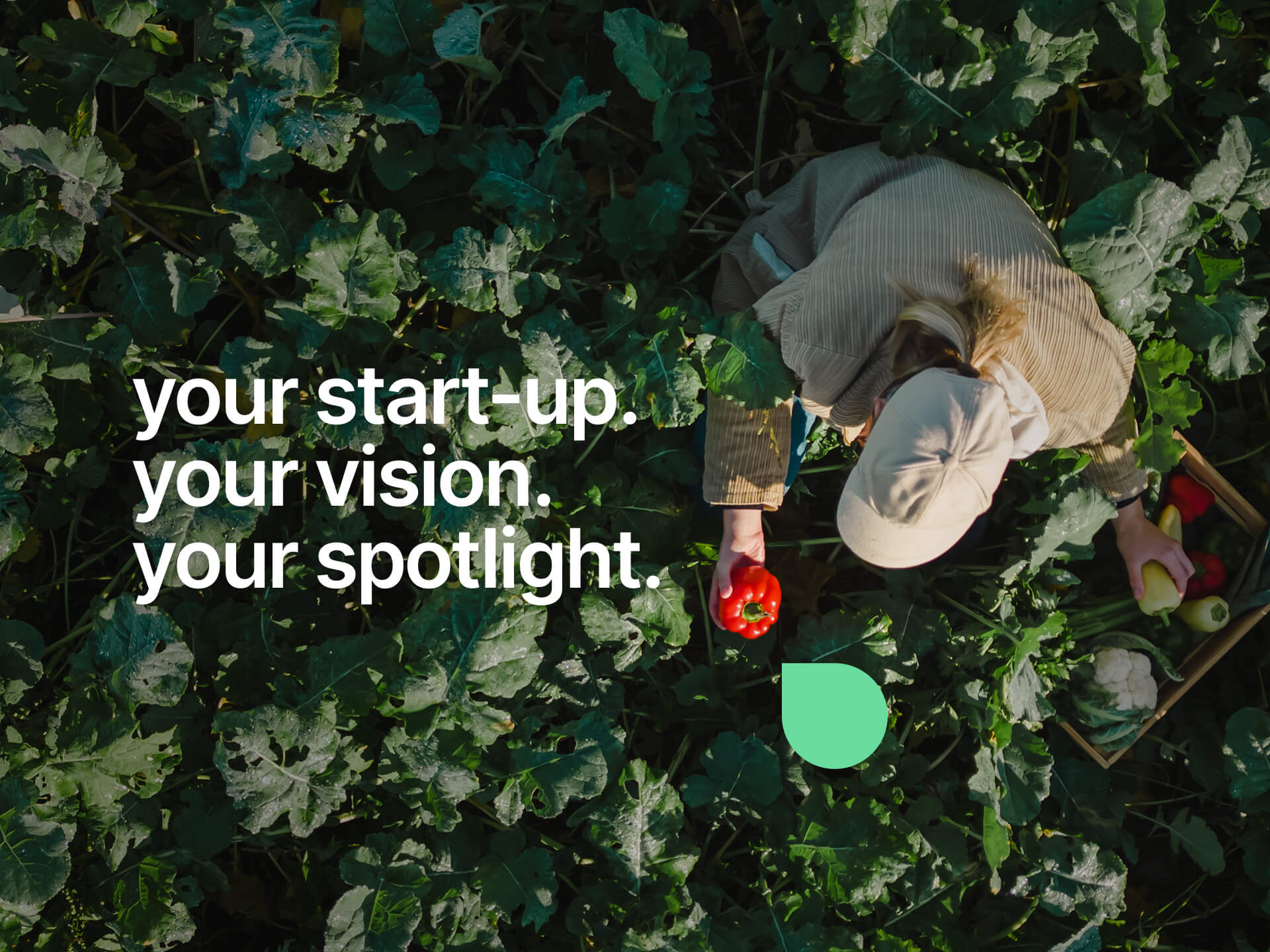 A birds eye view of a woman stood in a green crop field holding a red pepper in one hand and a basket in the other